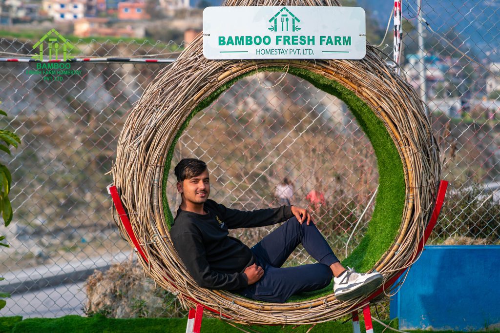 Bamboo33 1024x683